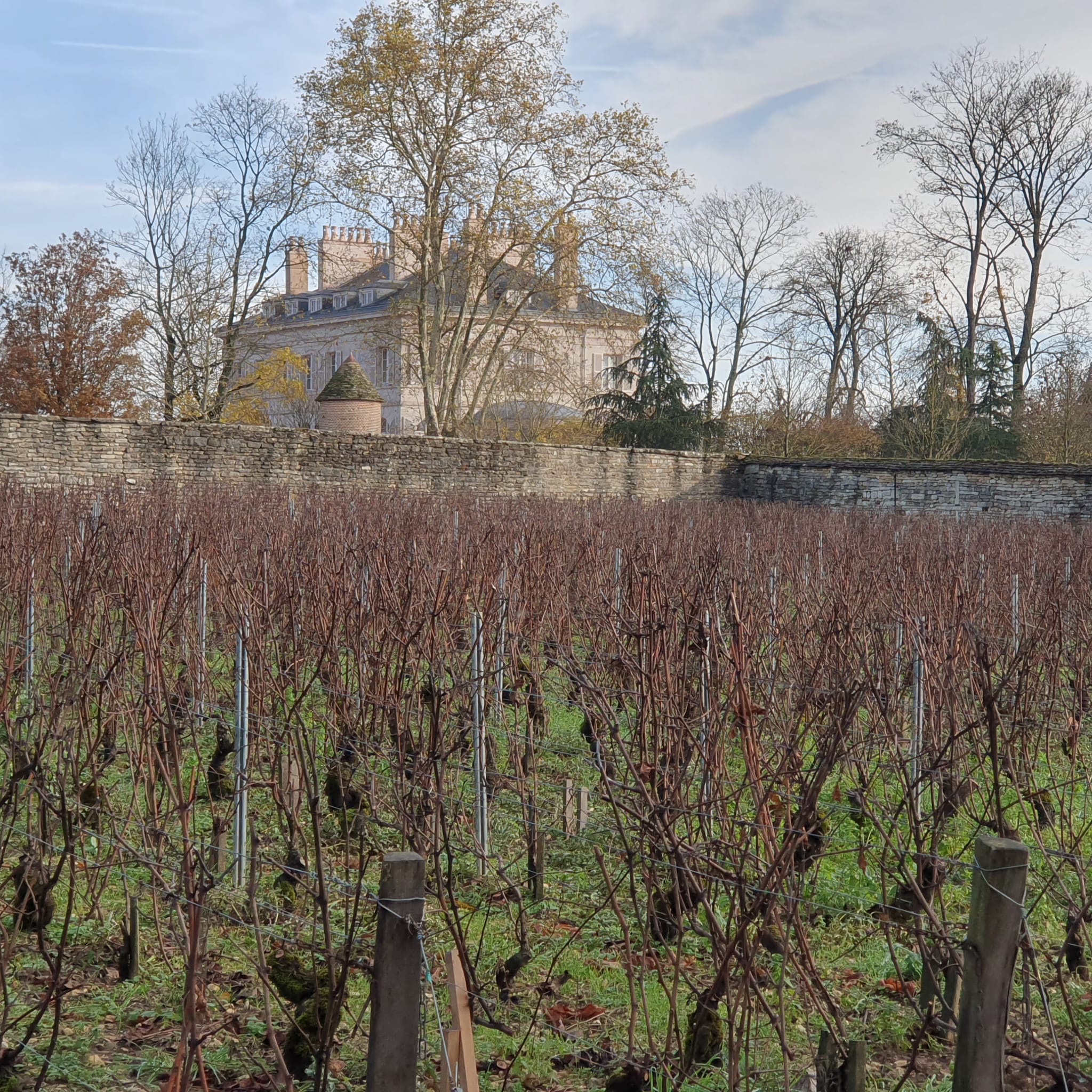 Domaine Parigot