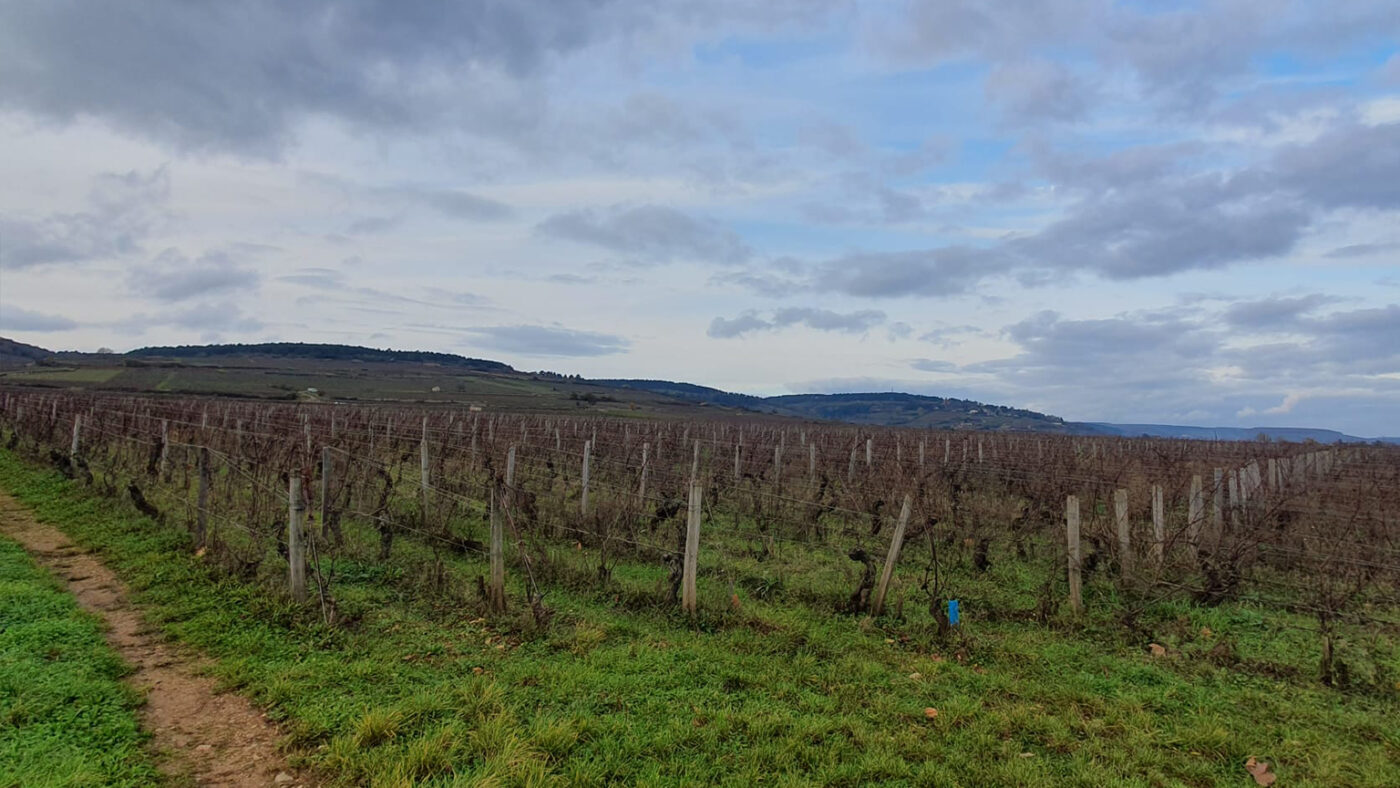 Côte de Nuits