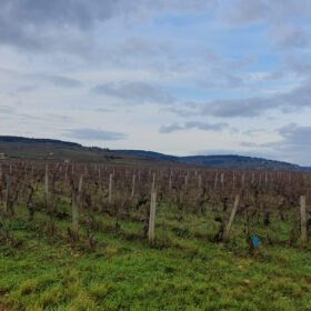 Côte de Nuits
