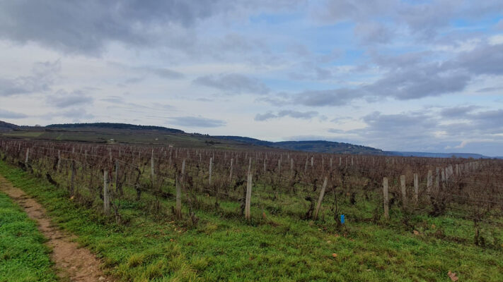 Côte de Nuits